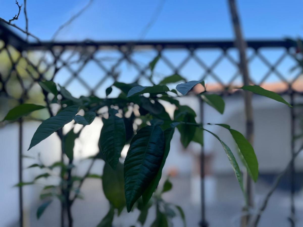 Comoda Habitacion A 10 Min Del Centro Historico De Querétaro Eksteriør bilde